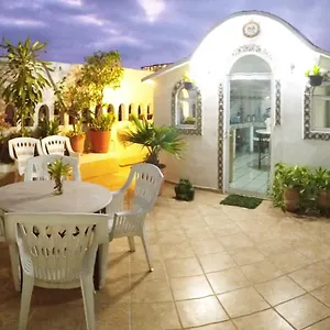 alexandross-hostel-bb.hotelspuertovallarta.org/